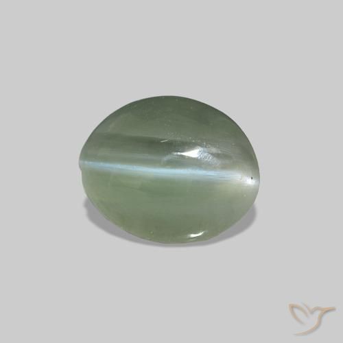 Cat's Eye Alexandrite Verde médio Natural 0.62ct, oval, Opaco