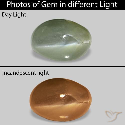 Cat's Eye Alexandrite Verde médio Natural 0.62ct, oval, Opaco