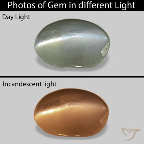 Cat's Eye Alexandrite Verde médio Natural 0.71ct, oval, Opaco