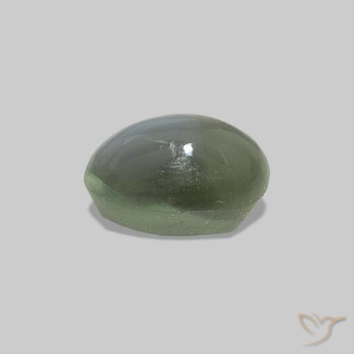 Cat's Eye Alexandrite Verde médio Natural 0.71ct, oval, Opaco