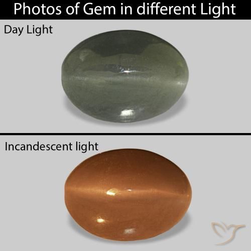 0.61ct Verde médio Cat's Eye Alexandrite, oval, Opaco