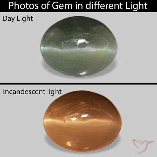 Cat's Eye Alexandrite Verde Floresta Pálido Natural 0.62ct, oval, Opaco