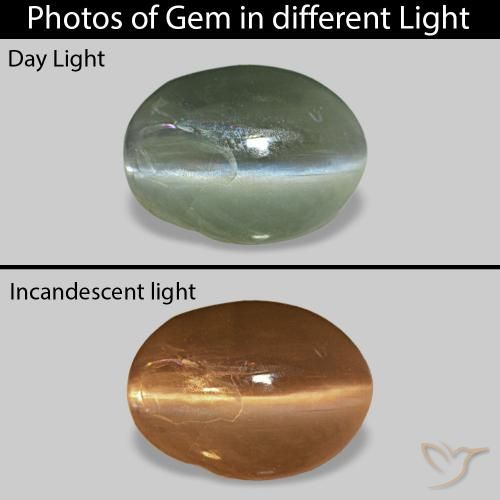 0.68ct Verde médio Cat's Eye Alexandrite, oval, Opaco