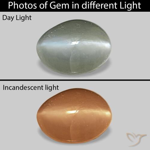 Cat's Eye Alexandrite Verde médio Natural 0.40ct, oval, Opaco