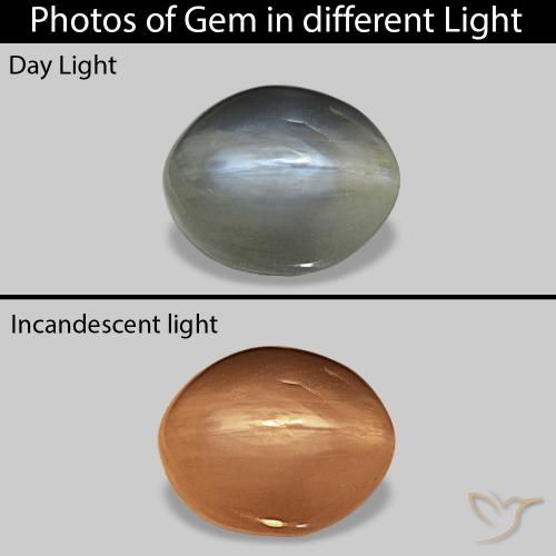 Cat's Eye Alexandrite cinza médio Natural 0.72ct, oval, Opaco