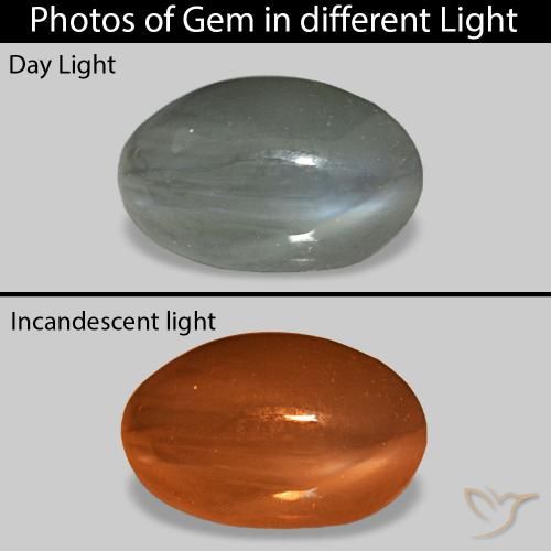 Cat's Eye Alexandrite cinza médio Natural 0.92ct, oval, Opaco