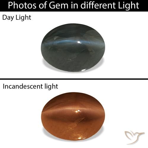 Cat's Eye Alexandrite Aço cinza Natural 0.96ct, oval, Opaco