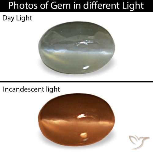 0.50ct cinza cat's eye alexandrite, oval, opaco