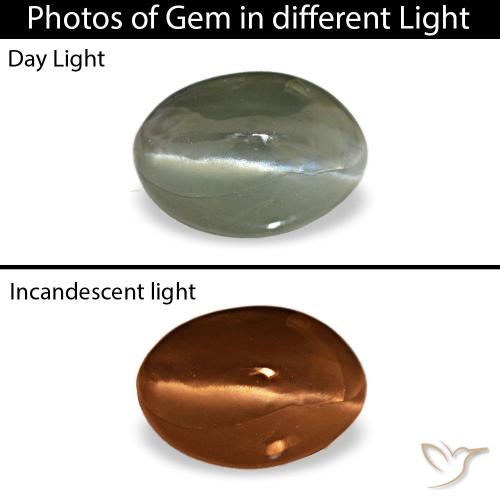 0.49ct cinza cat's eye alexandrite, oval, opaco
