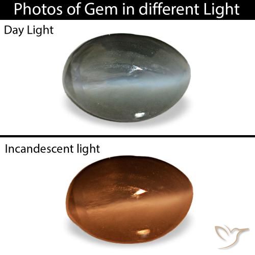Cat's eye alexandrite cinza natural 0,56ct, corte oval, opaco