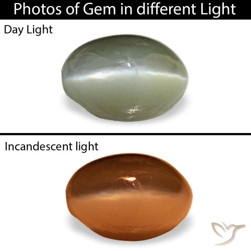 Cat's eye alexandrite verde natural 0,59ct, corte oval, opaco
