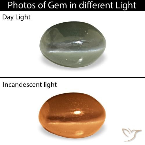 0.53ct verde cat's eye alexandrite, oval, opaco