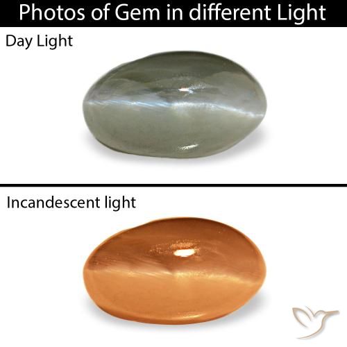 Cat's eye alexandrite verde natural 0,50ct, corte oval, opaco