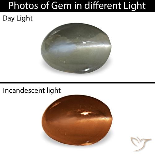 0.54ct verde cat's eye alexandrite, oval, opaco