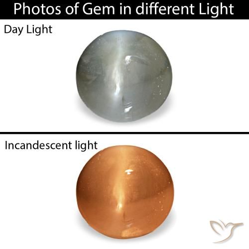 0.51ct cinza cat's eye alexandrite, oval, opaco