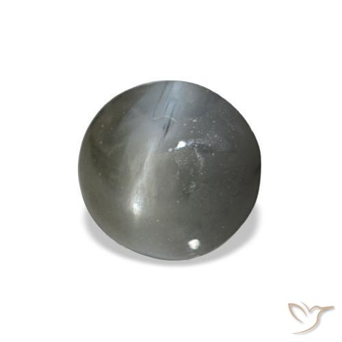 Cat's eye alexandrite cinza natural 0,51ct, corte oval, opaco