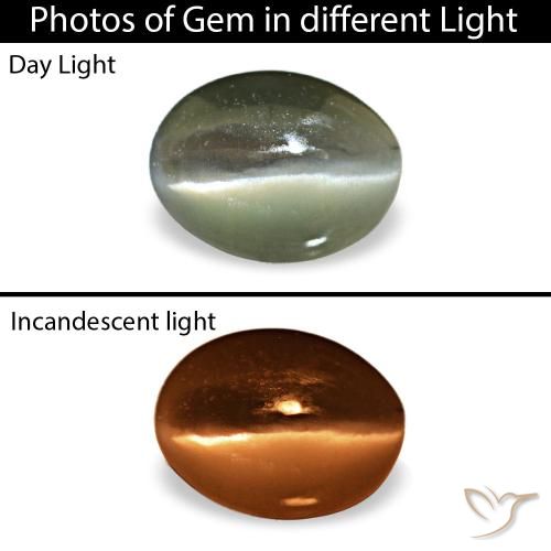 Cat's eye alexandrite cinza natural 0,42ct, corte oval, opaco
