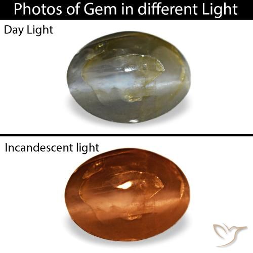 Cat's eye alexandrite cinza natural 0,48ct, corte oval, opaco