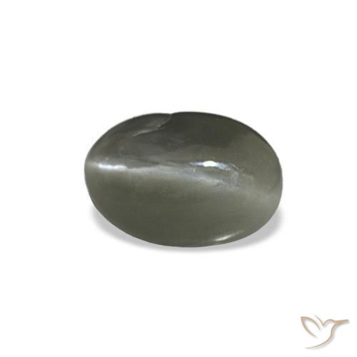 Cat's eye alexandrite cinza natural 0,35ct, corte oval, opaco