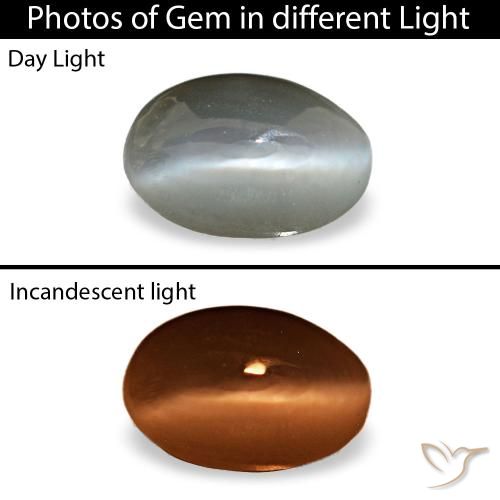 0.33ct cinza cat's eye alexandrite, oval, opaco