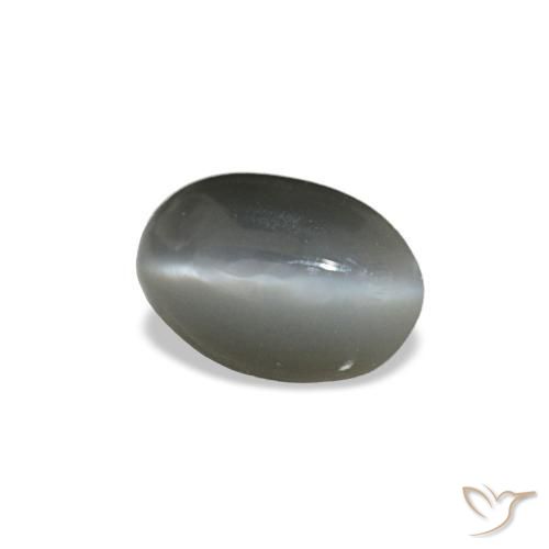 Cat's eye alexandrite cinza natural 0,33ct, corte oval, opaco