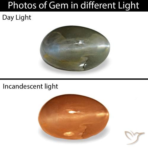 Cat's eye alexandrite cinza natural 0,46ct, corte oval, opaco