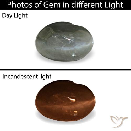 0.41ct cinza cat's eye alexandrite, oval, opaco