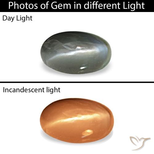 0.43ct cinza cat's eye alexandrite, oval, opaco