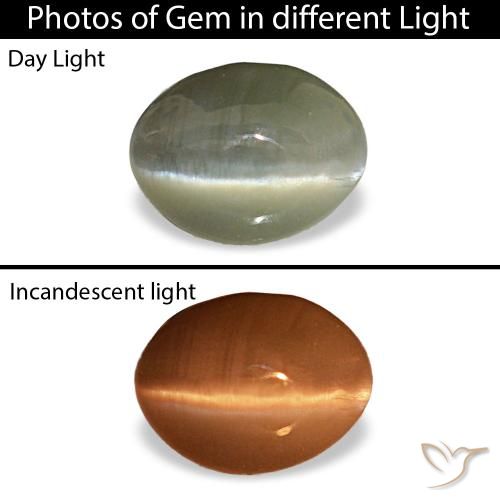 0.44ct cinza cat's eye alexandrite, oval, opaco