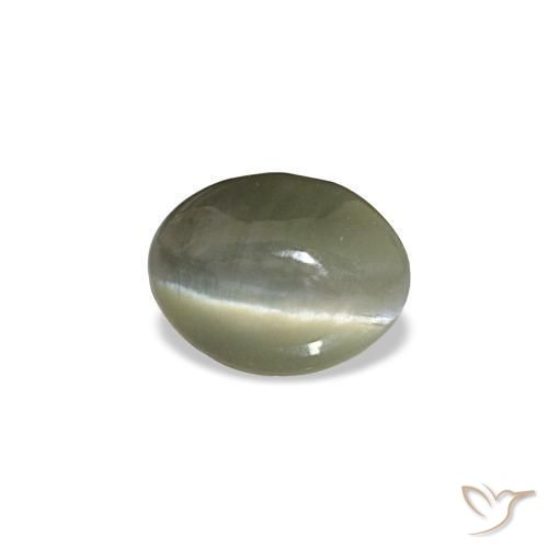 Cat's eye alexandrite cinza natural 0,44ct, corte oval, opaco