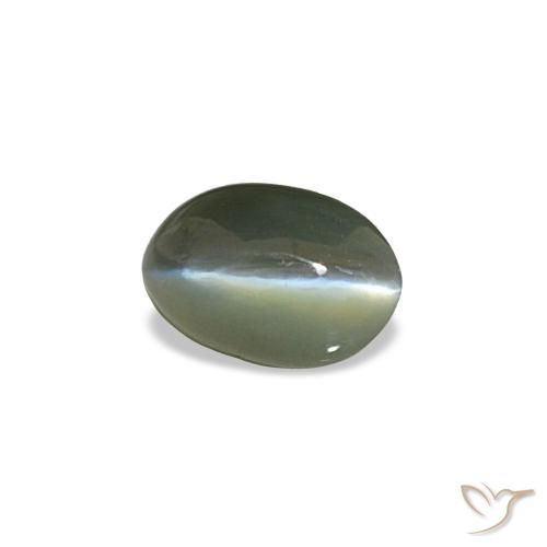 Cat's eye alexandrite cinza natural 0,50ct, corte oval, opaco