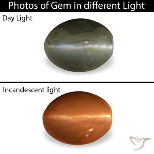 0.45ct cinza cat's eye alexandrite, oval, opaco