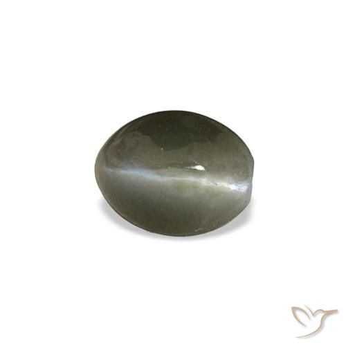Cat's eye alexandrite cinza natural 0,45ct, corte oval, opaco
