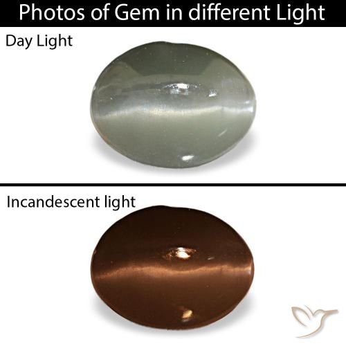 1.03ct cinza cat's eye alexandrite, oval, opaco