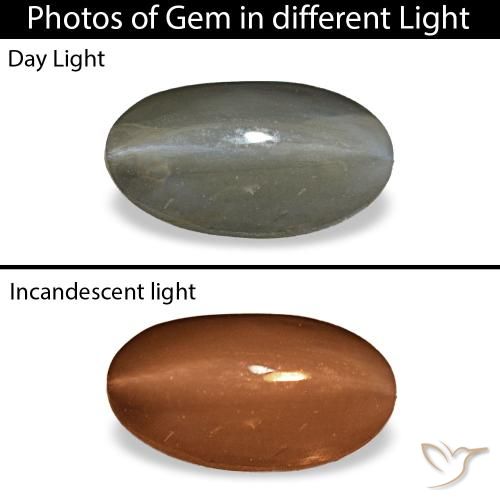 1.01ct cinza cat's eye alexandrite, oval, opaco