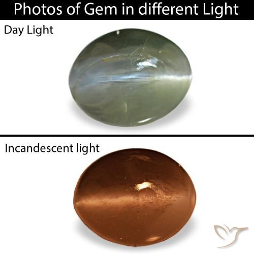 0.64ct cinza cat's eye alexandrite, oval, opaco