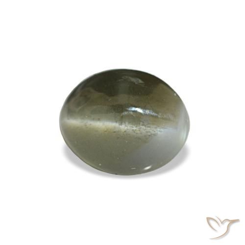 Cat's eye alexandrite cinza natural 0,64ct, corte oval, opaco