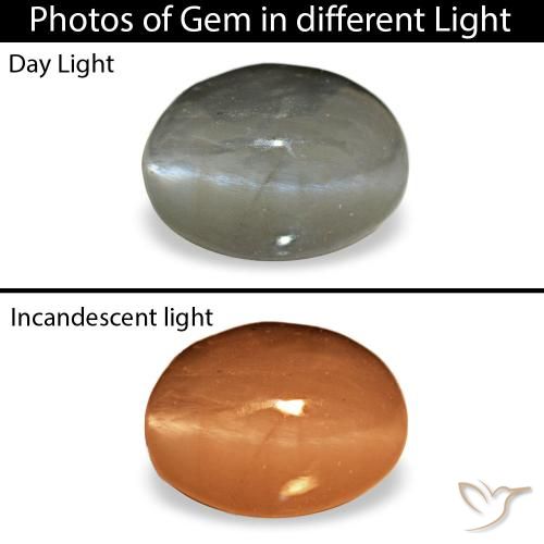 Cat's eye alexandrite cinza natural 0,72ct, corte oval, opaco