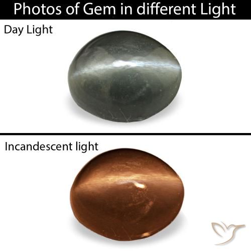 0.34ct cinza cat's eye alexandrite, oval, opaco