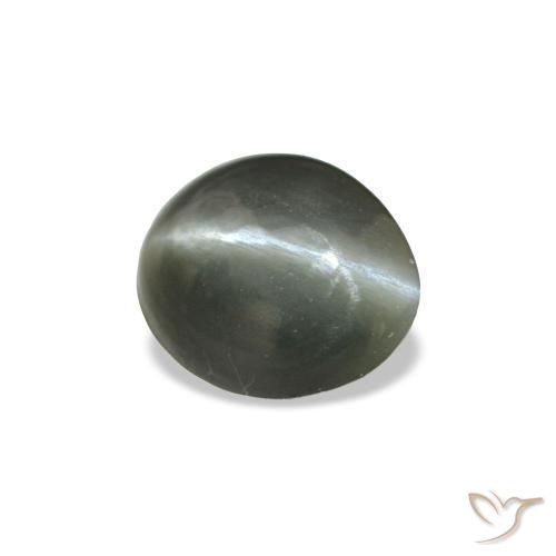 Cat's eye alexandrite cinza natural 0,34ct, corte oval, opaco