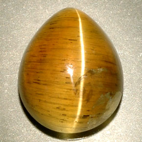 Cat's eye apatite amarelo natural 4,94ct, transparente, transparente/translúcido