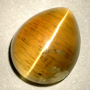 Cat's eye apatite amarelo natural 4,94ct, transparente, transparente/translúcido