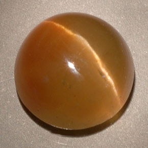 Cat's eye apatite amarelo natural 3,62ct, transparente, transparente/translúcido