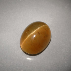 Cat's eye apatite amarelo natural 3,94ct, transparente, transparente/translúcido