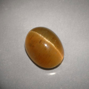 Cat's eye apatite amarelo natural 3,94ct, transparente, transparente/translúcido