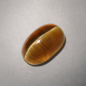 Cat's eye apatite amarelo natural 4,93ct, transparente, transparente/translúcido