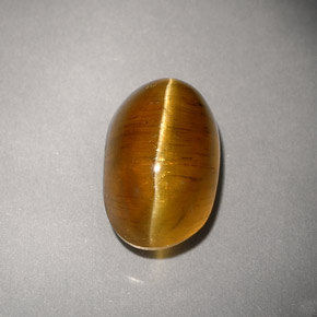 Cat's eye apatite amarelo natural 4,93ct, transparente, transparente/translúcido