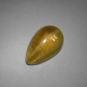 Cat's eye apatite amarelo natural 4,09ct, transparente, transparente/translúcido