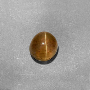 Cat's eye apatite amarelo natural 1,61ct, corte oval, translúcido