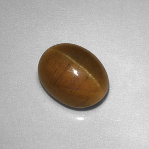 Cat's eye apatite amarelo natural 2,85ct, transparente, transparente/translúcido